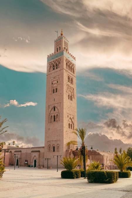 Riad Tawja2