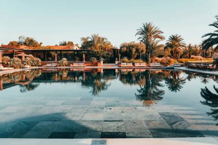 Riad Tawja Riad Tawja3